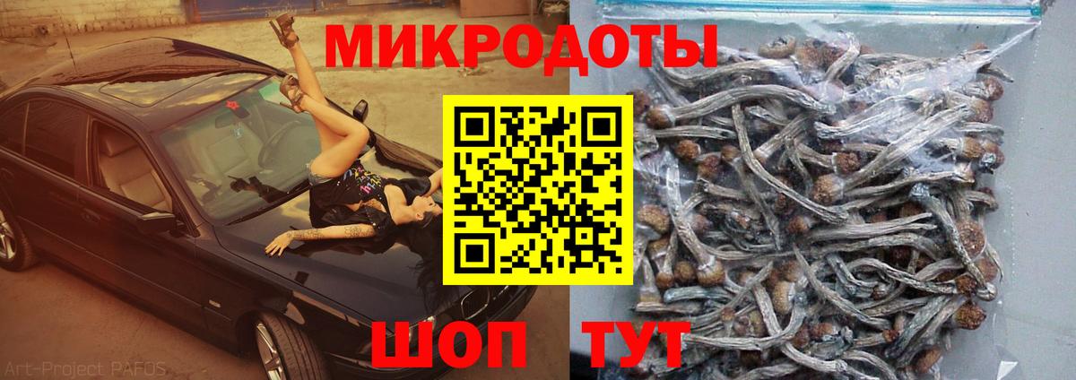 Гурьевск  Галлюциногенные грибы ЛСД  Вход с VPN 